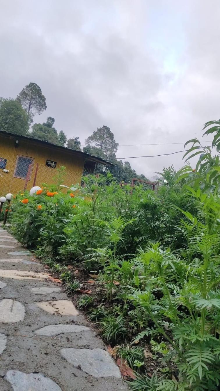 Krishna Kutir, Talla Ramgarh By The Meditating Society Exteriör bild